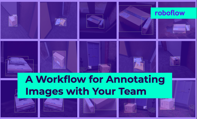 How To Annotate Images with Your Team Using Roboflow