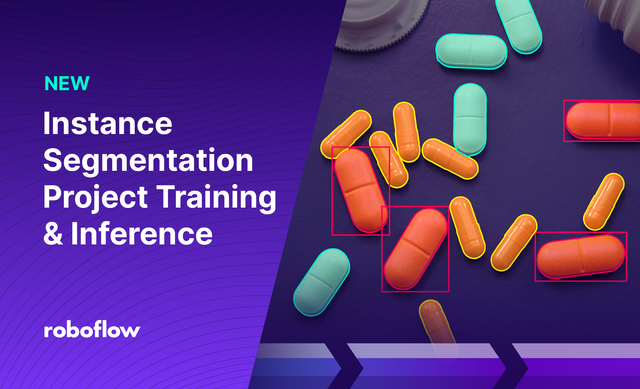 Launch: Instance Segmentation Project Training and Inference