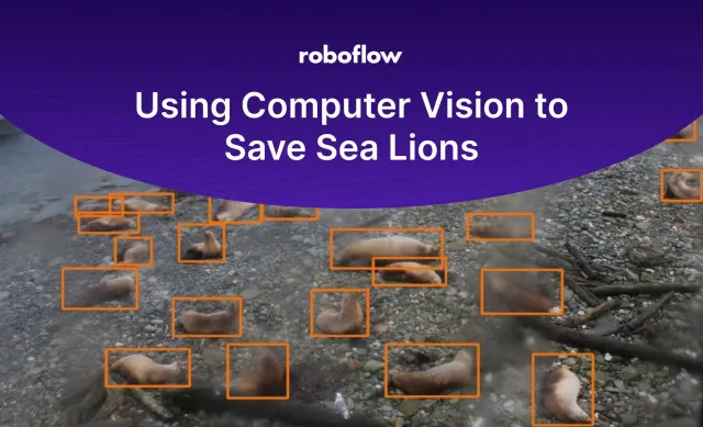 Using Computer Vision to Save Sea Lions