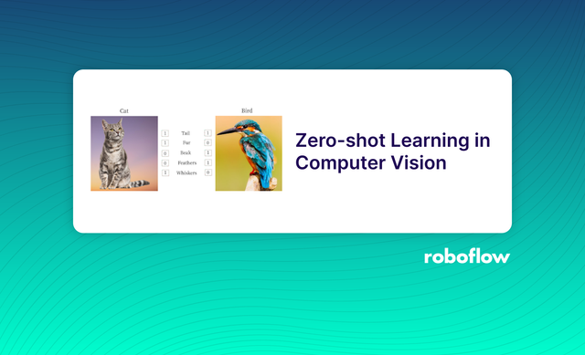 What is Zero Shot Learning in Computer Vision?