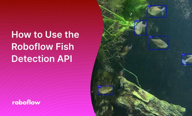 How to Use the Roboflow Fish Detection API