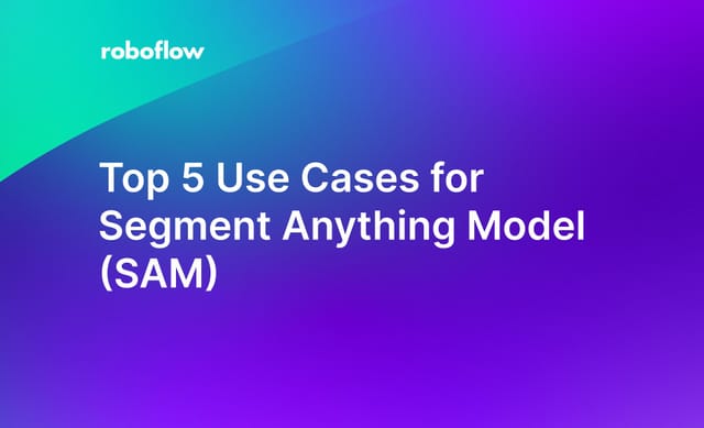 Top 5 Use Cases for Segment Anything Model (SAM)