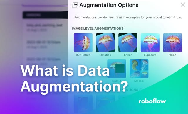 What is Data Augmentation? The Ultimate Guide.