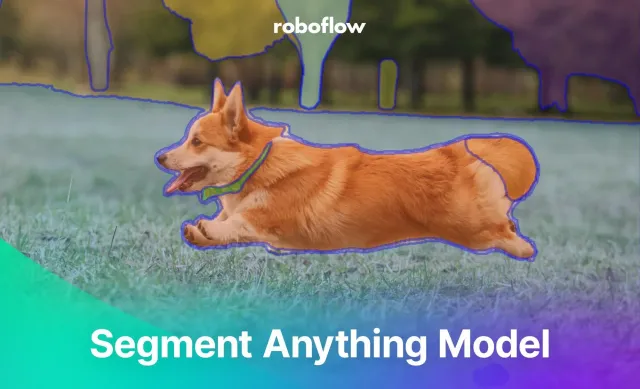 How to Use the Segment Anything Model (SAM)