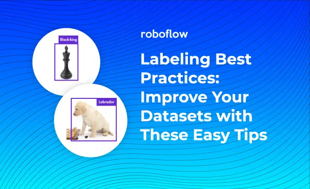 How to Label Image Data for Computer Vision Models