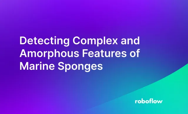 Detecting Complex and Amorphous Features of Marine Sponges