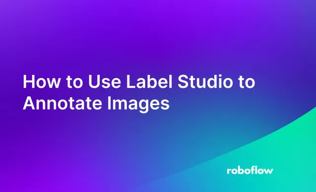 How to Use Label Studio to Annotate Images