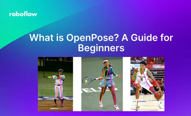 What is OpenPose? A Guide for Beginners.