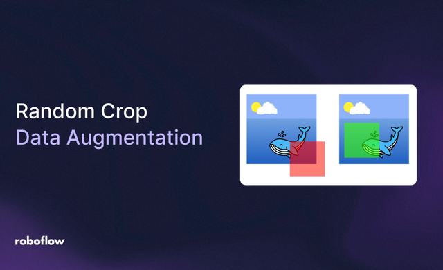 Why and How to Implement Random Crop Data Augmentation
