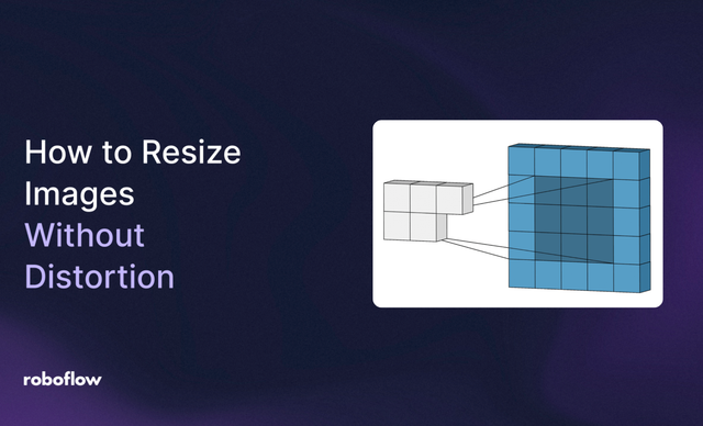 how to resize images without distortion