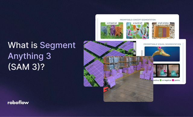 What is Segment Anything 3 (SAM 3)? Segment Anything with Concepts